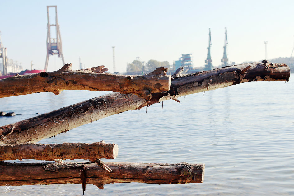 Fotorelacja z 8.11.2025 – Świnoujście inaczej