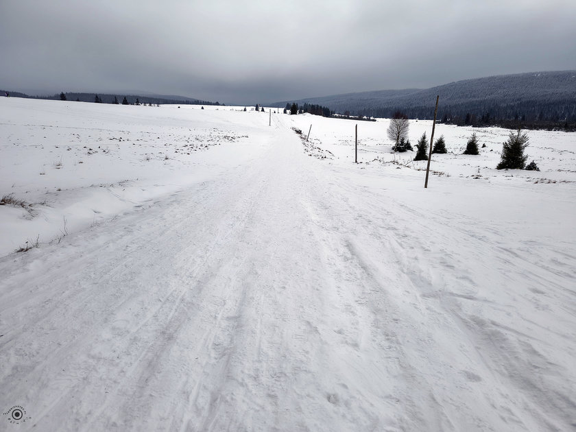 Fotorelacja z 3.02.2026 – Góry Izerskie – zimowo