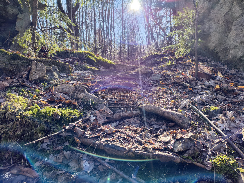 Fotorelacja z 5.03.2026 Kotlina – Skałki Zakochanych