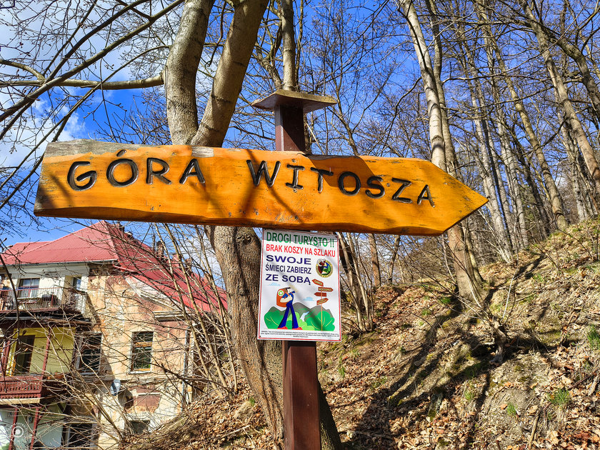Fotorelacja z 6.04.2026 Góra Witosza – Wiosennie